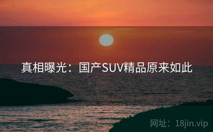 真相曝光：国产SUV精品原来如此
