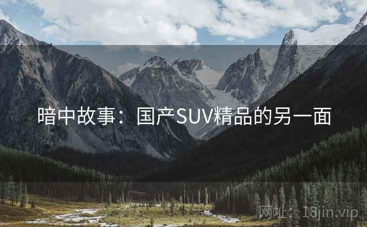 暗中故事：国产SUV精品的另一面