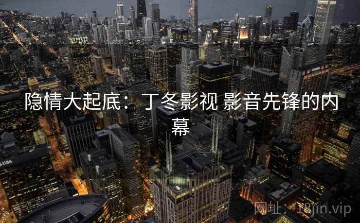 隐情大起底：丁冬影视 影音先锋的内幕